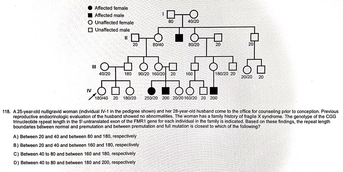 Affected female
Affected male
O Unaffected female
Unaffected male
11
IV
40/20
20
80/40
80
OO
180 90/20 160/20 20
A) Between 20 and 40 and between 80 and 180, respectively
B) Between 20 and 40 and between 160 and 180, respectively
C) Between 40 to 80 and between 160 and 180, respectively
D) Between 40 to 80 and between 180 and 200, respectively
O
40/20
80/20
160
20
180/20 20
dd
180/40 20 180/20 250/20 200 20/20160/20 20 200
20
WATAK
20/20 20
118. A 25-year-old nulligravid woman (individual IV-1 in the pedigree shown) and her 28-year-old husband come to the office for counseling prior to conception. Previous
reproductive endocrinologic evaluation of the husband showed no abnormalities. The woman has a family history of fragile X syndrome. The genotype of the CGG
trinucleotide repeat length in the 5'-untranslated exon of the FMR1 gene for each individual in the family is indicated. Based on these findings, the repeat length
boundaries between normal and premutation and between premutation and full mutation is closest to which of the following?