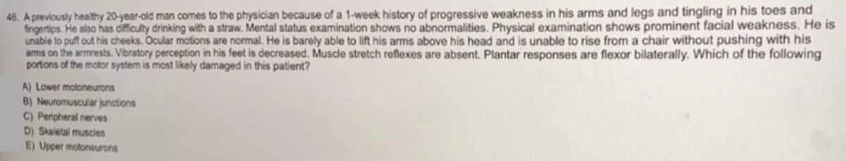 46. A previously healthy 20-year-old man comes to the physician because of a 1-week history of progressive weakness in his arms and legs and tingling in his toes and
fingertips. He also has difficulty drinking with a straw. Mental status examination shows no abnormalities. Physical examination shows prominent facial weakness. He is
unable to puff out his cheeks. Ocular motions are normal. He is barely able to lift his arms above his head and is unable to rise from a chair without pushing with his
arms on the armrests. Vibratory perception in his feet is decreased. Muscle stretch reflexes are absent. Plantar responses are flexor bilaterally. Which of the following
portions of the motor system is most likely damaged in this patient?
A) Lower motoneurons
B) Neuromuscular junctions
C) Peripheral nerves
D) Skeletal muscles
E) Upper motoneurons