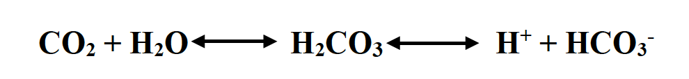 CO₂ + H₂O H₂CO3 →→→→ H+ + HCO3