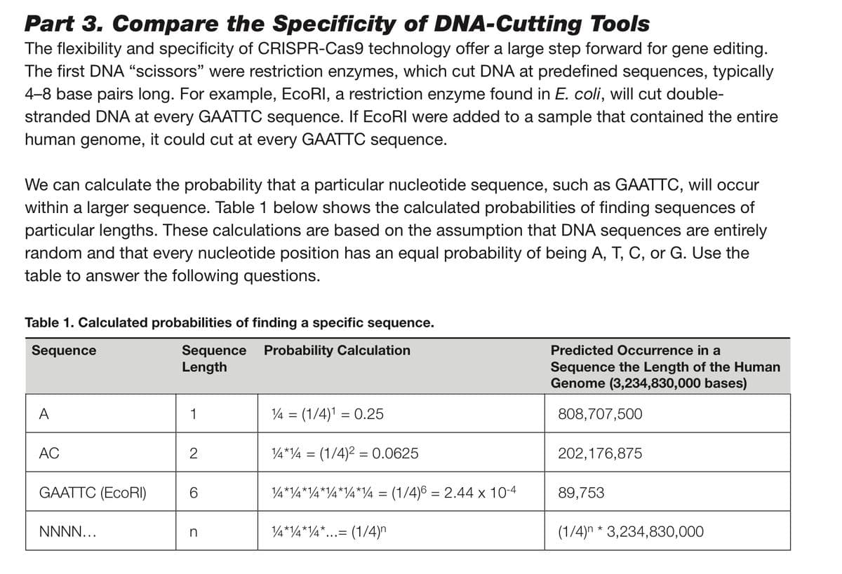 Part 3. Compare the Specificity of DNA-Cutting Tools
The flexibility and specificity of CRISPR-Cas9 technology offer a large step forward for gene editing.
The first DNA "scissors" were restriction enzymes, which cut DNA at predefined sequences, typically
4-8 base pairs long. For example, EcoRI, a restriction enzyme found in E. coli, will cut double-
stranded DNA at every GAATTC sequence. If EcoRI were added to a sample that contained the entire
human genome, it could cut at every GAATTC sequence.
We can calculate the probability that a particular nucleotide sequence, such as GAATTC, will occur
within a larger sequence. Table 1 below shows the calculated probabilities of finding sequences of
particular lengths. These calculations are based on the assumption that DNA sequences are entirely
random and that every nucleotide position has an equal probability of being A, T, C, or G. Use the
table to answer the following questions.
Table 1. Calculated probabilities of finding a specific sequence.
Sequence
Sequence Probability Calculation
Length
A
AC
GAATTC (EcoRI)
NNNN...
1
2
CO
n
14 = (1/4)¹ = 0.25
1/4*4 = (1/4)² = 0.0625
¼*14*¼*¼*¼*¼ = (1/4)6 = 2.44 x 10-4
14*14*14*. (1/4)
Predicted Occurrence in a
Sequence the Length of the Human
Genome (3,234,830,000 bases)
808,707,500
202,176,875
89,753
(1/4)n* 3,234,830,000