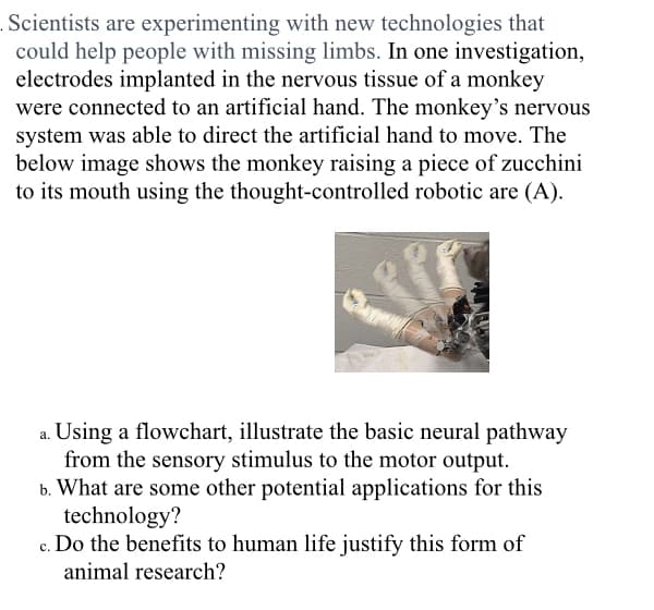 Scientists are experimenting with new technologies that
could help people with missing limbs. In one investigation,
electrodes implanted in the nervous tissue of a monkey
were connected to an artificial hand. The monkey's nervous
system was able to direct the artificial hand to move. The
below image shows the monkey raising a piece of zucchini
to its mouth using the thought-controlled robotic are (A).
a. Using a flowchart, illustrate the basic neural pathway
from the sensory stimulus to the motor output.
b. What are some other potential applications for this
technology?
c. Do the benefits to human life justify this form of
animal research?