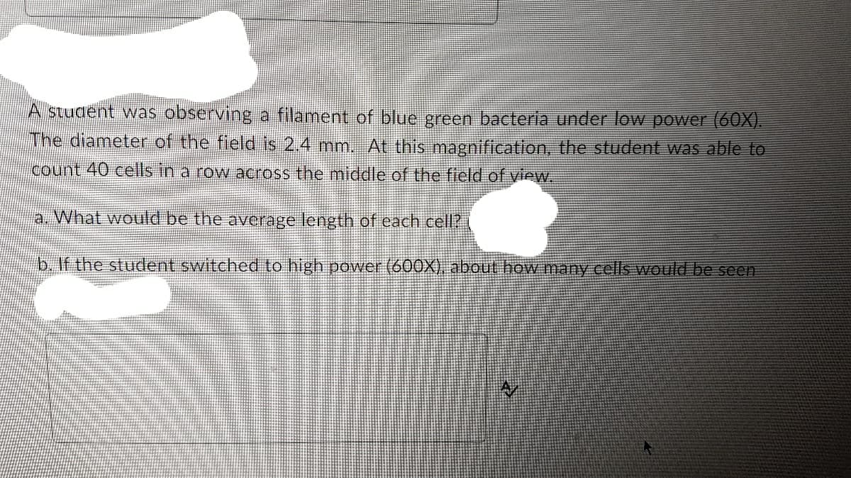 A student was observing a filament of blue green bacteria under low power (60X).
The diameter of the field is 2.4 mm. At this magnification, the student was able to
count 40 cells in a row across the middle of the field of view.
a. What would be the average length of each cell?
b. If the student switched to high power (600X), about how many cells would be seen