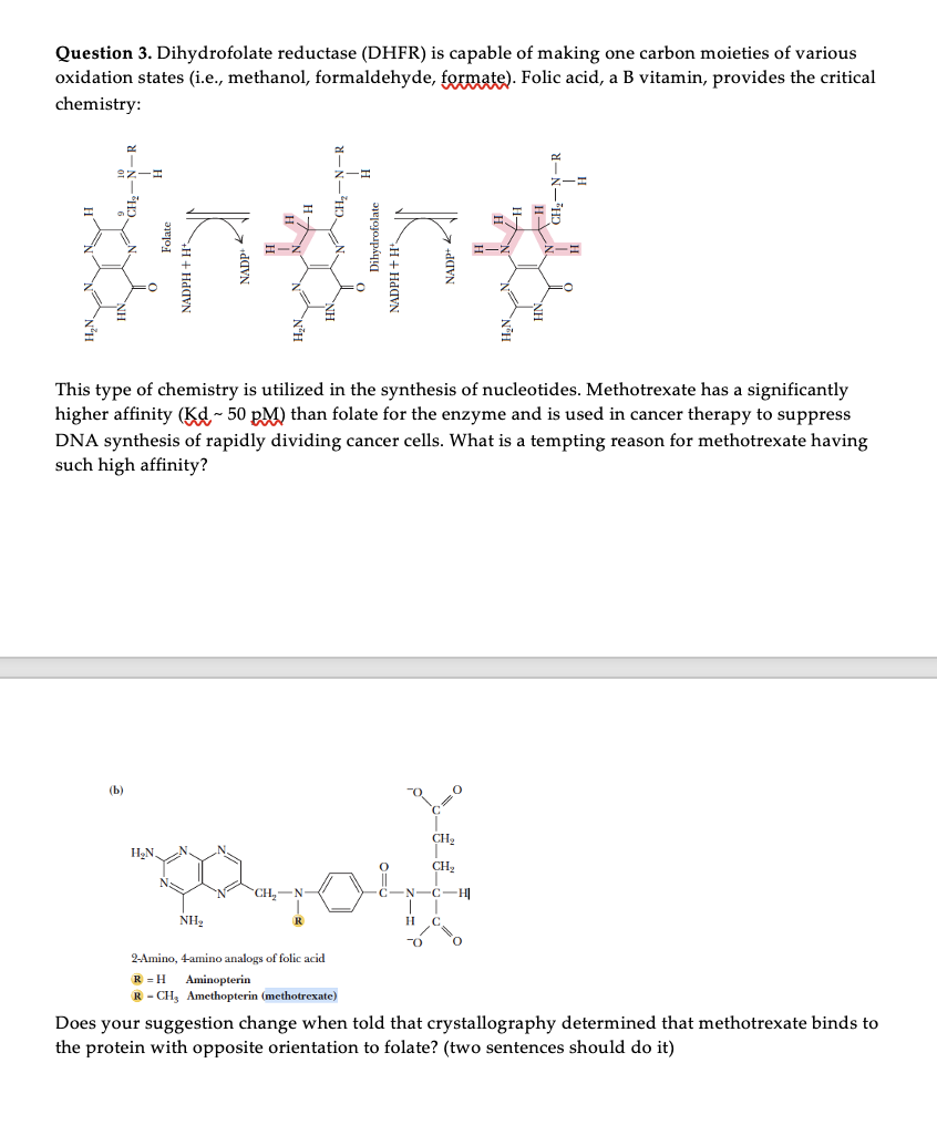 Question 3. Dihydrofolate reductase (DHFR) is capable of making one carbon moieties of various
oxidation states (i.e., methanol, formaldehyde, formate). Folic acid, a B vitamin, provides the critical
chemistry:
This type of chemistry is utilized in the synthesis of nucleotides. Methotrexate has a significantly
higher affinity (Kd ~ 50 pM) than folate for the enzyme and is used in cancer therapy to suppress
DNA synthesis of rapidly dividing cancer cells. What is a tempting reason for methotrexate having
such high affinity?
(b)
CH:
H2N.
CH2
CH,
N-C-H
NH2
C
2-Amino, 4-amino analogs of folic acid
R = H
R - CH, Amethopterin (methotrexate)
Aminopterin
Does your suggestion change when told that crystallography determined that methotrexate binds to
the protein with opposite orientation to folate? (two sentences should do it)
HN
Folate
NADPH + H
NADP"
N°H
Dihydrofolate
NADPH+H IN
I7 +daVN
