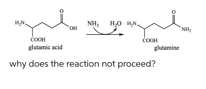 H,N.
NH3
HO,
H,O H,N.
NH2
COOH
СООН
glutamic acid
glutamine
why does the reaction not proceed?

