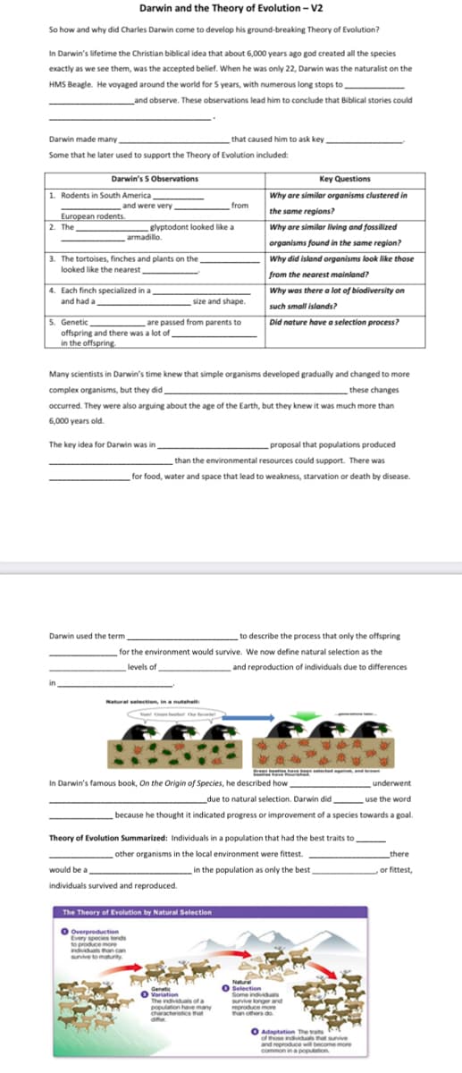 Darwin and the Theory of Evolution - V2
So how and why did Charles Darwin come to develop his ground-breaking Theory of Evolution?
In Darwin's lifetime the Christian biblical idea that about 6,000 years ago god created all the species.
exactly as we see them, was the accepted belief. When he was only 22, Darwin was the naturalist on the
HMS Beagle. He voyaged around the world for 5 years, with numerous long stops to
and observe. These observations lead him to conclude that Biblical stories could
Darwin made many
that caused him to ask key
Some that he later used to support the Theory of Evolution included:
Darwin's 5 Observations
Key Questions
1. Rodents in South America_
and were very
from
Why are similar organisms clustered in
the same regions?
European rodents.
2. The
glyptodont looked like a
armadillo.
Why are similar living and fossilized
organisms found in the same region?
3. The tortoises, finches and plants on the
looked like the nearest
Why did island organisms look like those
from the nearest mainland?
4. Each finch specialized in a
and had a
Why was there a lot of biodiversity on
such small islands?
size and shape.
5. Genetic,
are passed from parents to
Did nature have a selection process?
offspring and there was a lot of,
in the offspring.
Many scientists in Darwin's time knew that simple organisms developed gradually and changed to more
complex organisms, but they did,
these changes
occurred. They were also arguing about the age of the Earth, but they knew it was much more than
6,000 years old.
The key idea for Darwin was in
proposal that populations produced
than the environmental resources could support. There was
for food, water and space that lead to weakness, starvation or death by disease.
Darwin used the term,
to describe the process that only the offspring
for the environment would survive. We now define natural selection as the
levels of
and reproduction of individuals due to differences
Natural selection, in a nutshell
your bacted and brow
In Darwin's famous book, On the Origin of Species, he described how
underwent
use the word
due to natural selection. Darwin did
because he thought it indicated progress or improvement of a species towards a goal.
Theory of Evolution Summarized: Individuals in a population that had the best traits to
other organisms in the local environment were fittest.
there
, or fittest,
would be a
in the population as only the best
individuals survived and reproduced.
The Theory of Evolution by Natural Selection
O Overproduction
Every species tends
to produce more
individuals than can
survive to maturity
Genetic
O Variation
The individuals of a
population have many
characteristics that
differ
Natural
O
Selection
Some individuals
survive longer and
reproduce more
than others do
O
Adaptation The traits
of those individuals that survive
and reproduce will become more
common in a population