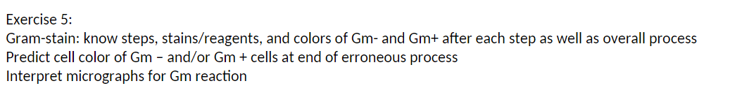 Exercise 5:
Gram-stain: know steps, stains/reagents, and colors of Gm- and Gm+ after each step as well as overall process
Predict cell color of Gm - and/or Gm + cells at end of erroneous process
Interpret micrographs for Gm reaction