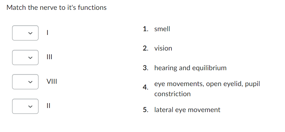 Match the nerve to it's functions
I
|||
VIII
||
1. smell
2. vision
3. hearing and equilibrium
4.
eye movements, open eyelid, pupil
constriction
5. lateral eye movement