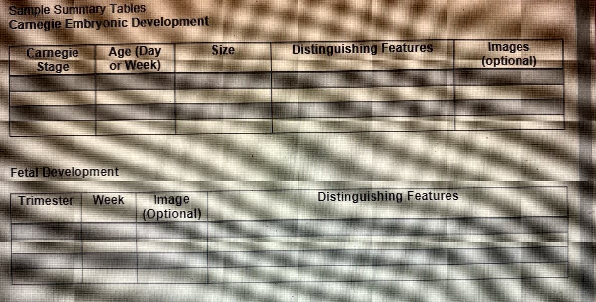 Sample Summary Tables
Carnegie Embryonic Development
Carnegie Age (Day
Stage or Week)
Fetal Development
Trimester Week
Image
(Optional)
Size
Distinguishing Features
Distinguishing Features
Images
(optional)