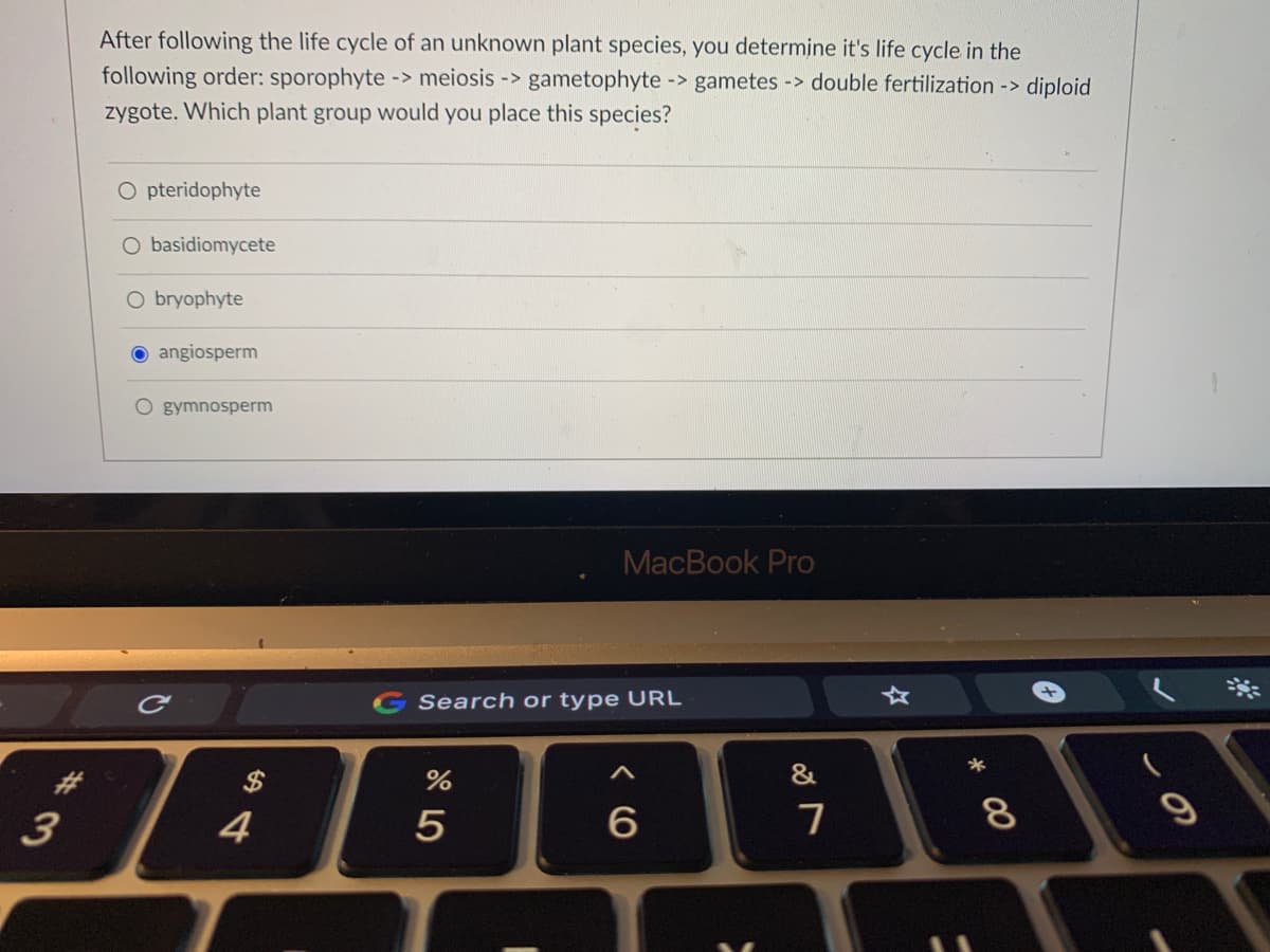 After following the life cycle of an unknown plant species, you determine it's life cycle in the
following order: sporophyte -> meiosis -> gametophyte -> gametes -> double fertilization -> diploid
zygote. Which plant group would you place this species?
O pteridophyte
O basidiomycete
O bryophyte
angiosperm
O gymnosperm
MacBook Pro
Search or type URL
2$
4
7
8
