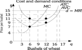 Price per bushel
53197
11
4
0
Cost and demand conditions
MC
ATC
AVC
V
3
d = MR
6 9 12 16 17 q
Bushels of wheat
