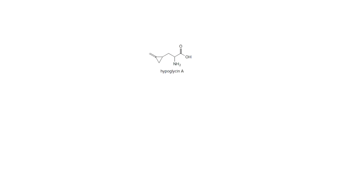 OH
NH2
hypoglycin A
