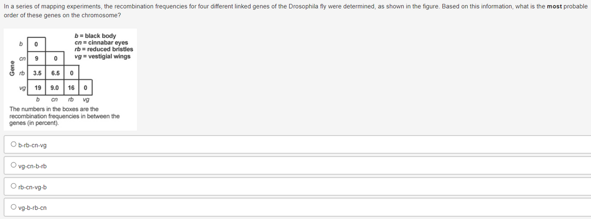 In a series of mapping experiments, the recombination frequencies for four different linked genes of the Drosophila fly were determined, as shown in the figure. Based on this information, what is the most probable
order of these genes on the chromosome?
b 0
cn
90
rb
3.5 6.5 0
vg 19 9.0 16 0
b
cn rb vg
The numbers in the boxes are the
recombination frequencies in between the
genes (in percent).
O b-rb-cn-vg
O vg-cn-b-rb
Orb-cn-vg-b
b = black body
cn = cinnabar eyes
rb = reduced bristles
vg = vestigial wings
O vg-b-rb-cn