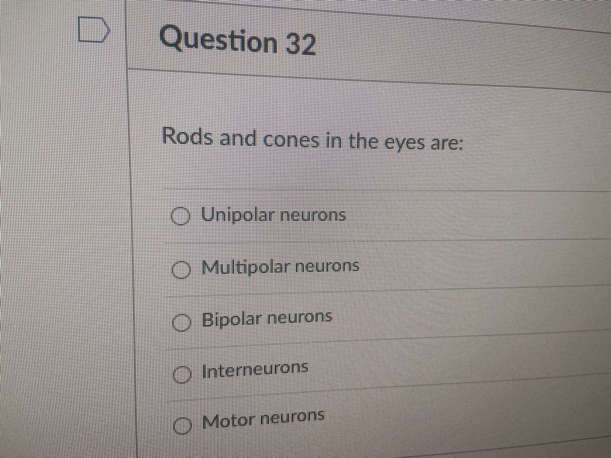 Question 32
Rods and cones in the eyes are:
Unipolar neurons
O Multipolar neurons
O Bipolar neurons
O Interneurons
O Motor neurons
