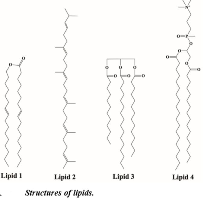 Lipid 1
Lipid 2
Structures of lipids.
0
Lipid 3
Lipid 4