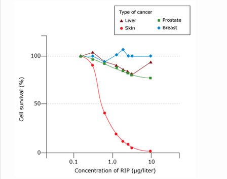 Type of cancer
A Liver
• Skin
- Prostate
• Breast
100-
50-
0.1
1.0
10
Concentration of RIP (ug/liter)
Cell survival (%)
