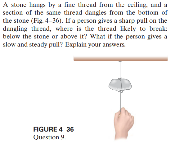 A stone hangs by a fine thread from the ceiling, and a
section of the same thread dangles from the bottom of
the stone (Fig. 4–36). If a person gives a sharp pull on the
dangling thread, where is the thread likely to break:
below the stone or above it? What if the person gives a
slow and steady pull? Explain your answers.
FIGURE 4-36
Question 9.
