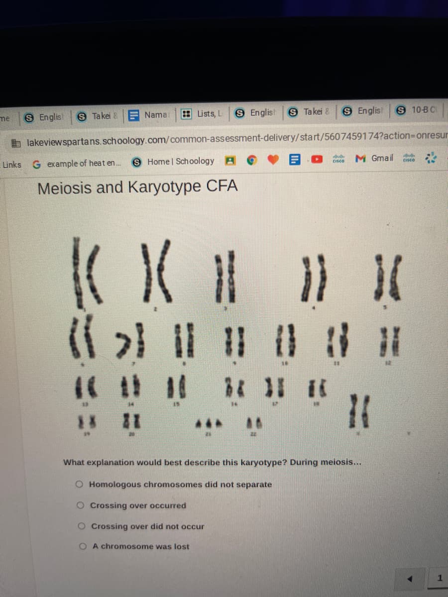 S Takej
Lists, L
S Englis!
Takei 8
S Englis!
S 10-B C
me
S Englis
Nama
b lakeviewspartans.schoology.com/common-assessment-delivery/start/5607459174?action3Donresur
G example of heat en.
S Home | Schoology A
M Gmail
crico
Links
Meiosis and Karyotype CFA
What explanation would best describe this karyotype? During meiosis...
O Homologous chromosomes did not separate
O Crossing over occurred
O Crossing over did not occur
O A chromosome was lost
