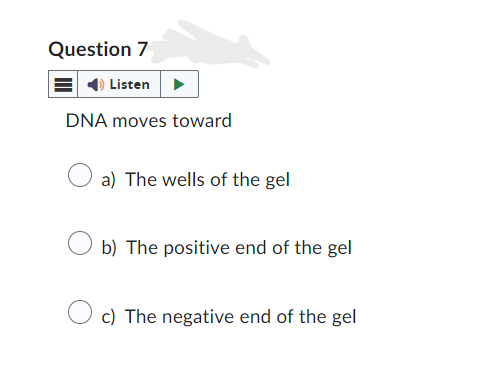 Question 7
Listen
DNA moves toward
a) The wells of the gel
b) The positive end of the gel
c) The negative end of the gel