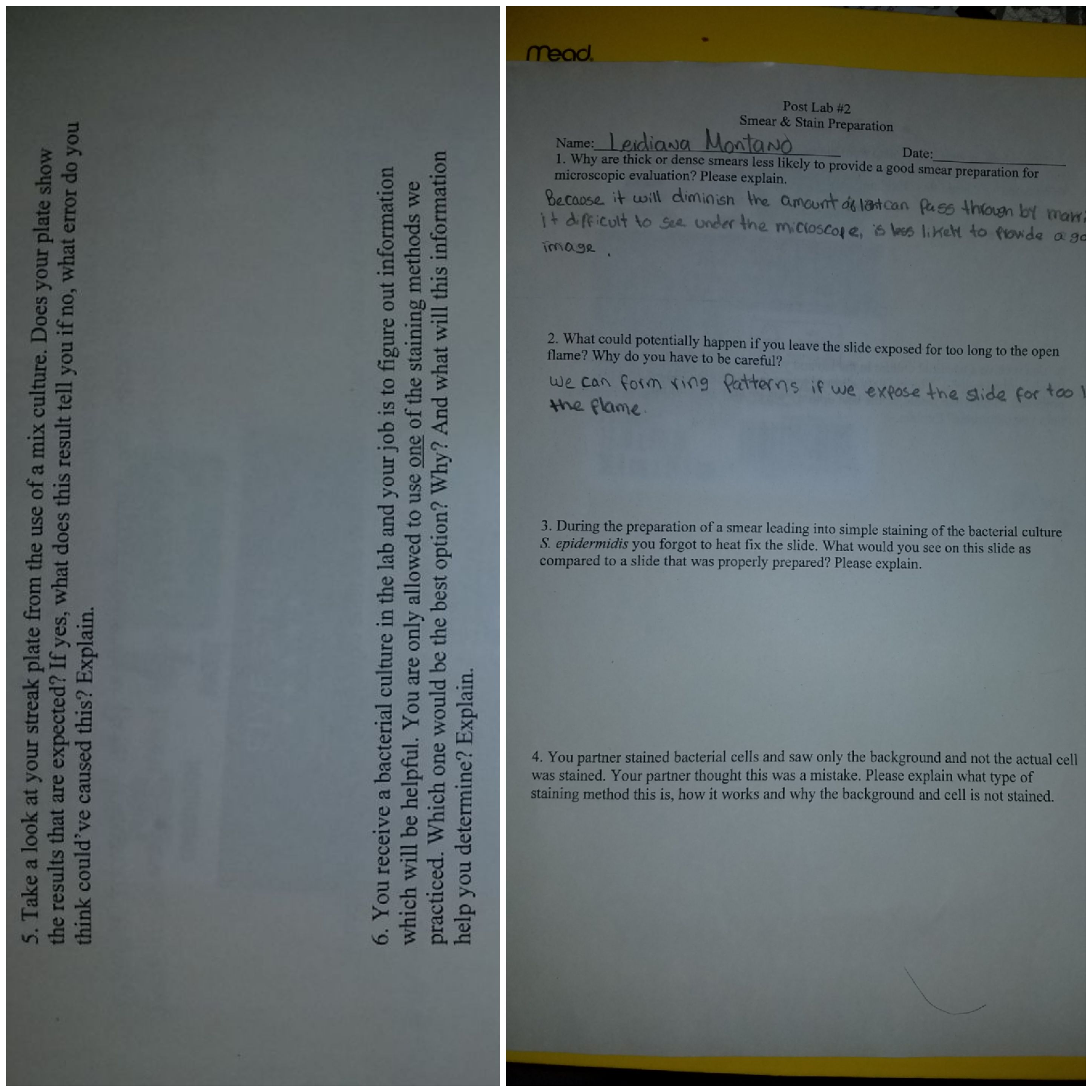 mead.
Post Lab #2
Smear & Stain Preparation
Name: Leidiawa MontaNo
Date:
1. Why are thick or dense smears less likely to provide a good smear preparation for
microscopic evaluation? Please explain.
Becapse, it will diminish the amount ds latcan Pass through by mam
1t difficult to See under the micioscol e, s less liket to Prowde a go
image.
2. What could potentially happen if you leave the slide exposed for too long to the open
flame? Why do you have to be careful?
we can form ring Patterns if we expose the slide for ta0
the flame
3. During the preparation of a smear leading into simple staining of the bacterial culture
S. epidermidis you forgot to heat fix the slide. What would you see on this slide as
compared to a slide that was properly prepared? Please explain.
4. You partner stained bacterial cells and saw only the background and not the actual cell
was stained. Your partner thought this was a mistake. Please explain what type of
staining method this is, how it works and why the background and cell is not stained.
5. Take a look at your streak plate from the use of a mix culture. Does your plate show
the results that are expected? If yes, what does this result tell you if no, what error do you
think could've caused this? Explain.
6. You receive a bacterial culture in the lab and your job is to figure out information
which will be helpful. You are only allowed to use one of the staining methods we
practiced. Which one would be the best option? Why? And what will this information
help you determine? Explain.

