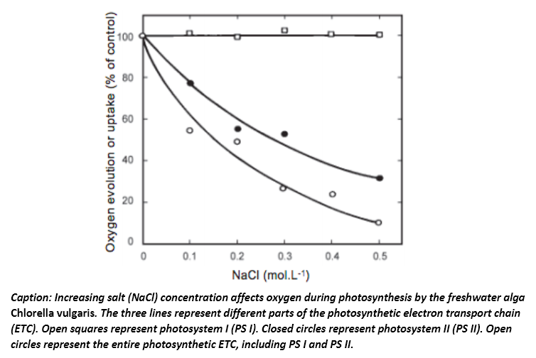 100
60
20
0.1
0.2
0.3
0.4
0.5
NacI (mol.L-1)
Caption: Increasing salt (NaCI) concentration affects oxygen during photosynthesis by the freshwater alga
Chlorella vulgaris. The three lines represent different parts of the photosynthetic electron transport chain
(ETC). Open squares represent photosystem I (PS I). Closed circles represent photosystem II (PS II). Open
circles represent the entire photosynthetic ETC, including PS I and PS II.
Oxygen evolution or uptake (% of control)
