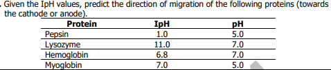 Given the IpH values, predict the direction of migration of the following proteins (towards
the cathode or anode).
Protein
IpH
1.0
pH
5.0
Pepsin
Lysozyme
Hemoglobin
Myoglobin
11.0
7.0
6.8
7.0
7.0
5.0
