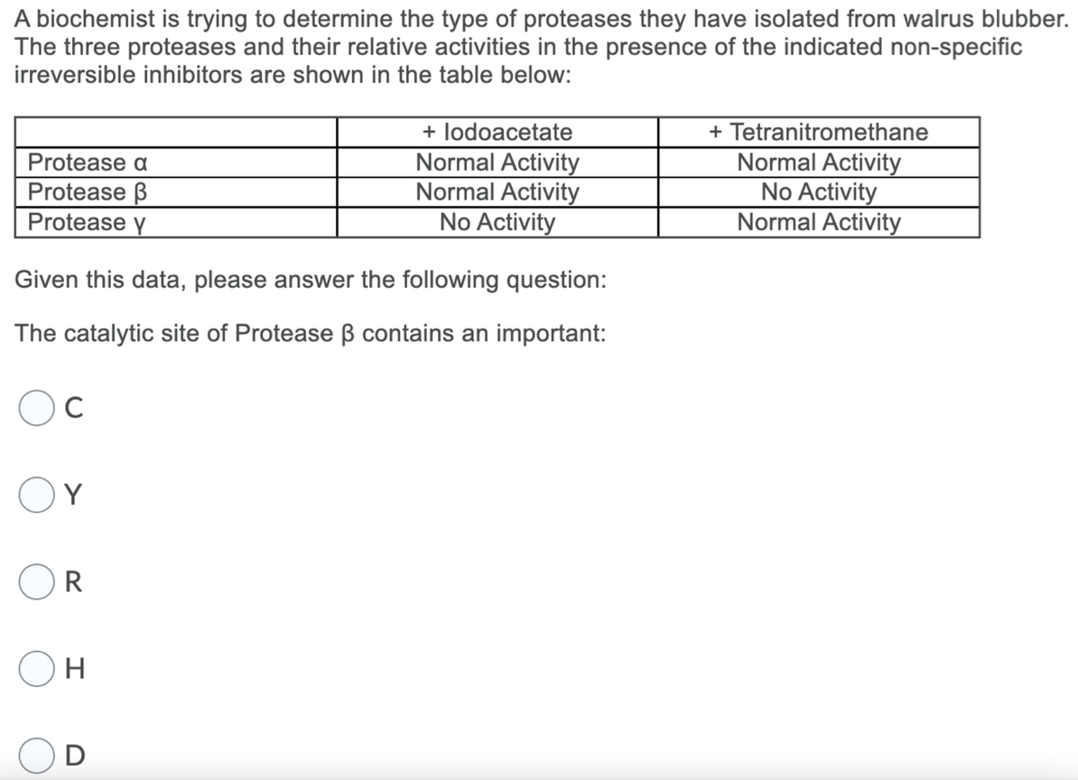 A biochemist is trying to determine the type of proteases they have isolated from walrus blubber.
The three proteases and their relative activities in the presence of the indicated non-specific
irreversible inhibitors are shown in the table below:
Protease a
Protease B
Protease y
Given this data, please answer the following question:
The catalytic site of Protease ß contains an important:
C
R
H
+ lodoacetate
Normal Activity
Normal Activity
No Activity
U
+ Tetranitromethane
Normal Activity
No Activity
Normal Activity