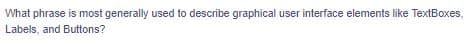 What phrase is most generally used to describe graphical user interface elements like TextBoxes,
Labels, and Buttons?