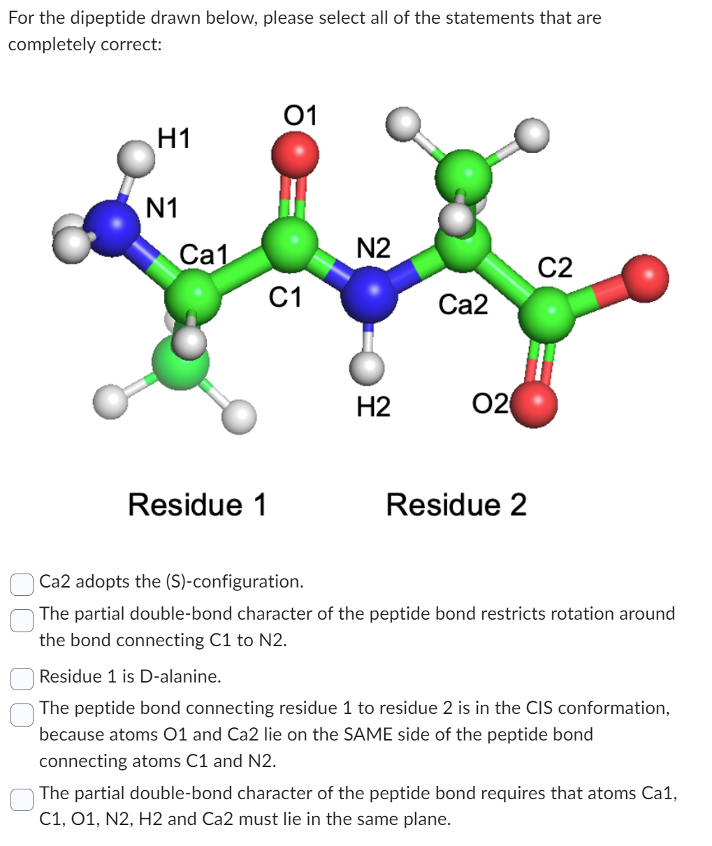 For the dipeptide drawn below, please select all of the statements that are
completely correct:
H1
N1
Cal
Residue 1
01
C1
N2
H2
Ca2
02
Residue 2
C2
Ca2 adopts the (S)-configuration.
The partial double-bond character of the peptide bond restricts rotation around
the bond connecting C1 to N2.
Residue 1 is D-alanine.
The peptide bond connecting residue 1 to residue 2 is in the CIS conformation,
because atoms 01 and Ca2 lie on the SAME side of the peptide bond
connecting atoms C1 and N2.
The partial double-bond character of the peptide bond requires that atoms Ca1,
C1, 01, N2, H2 and Ca2 must lie in the same plane.