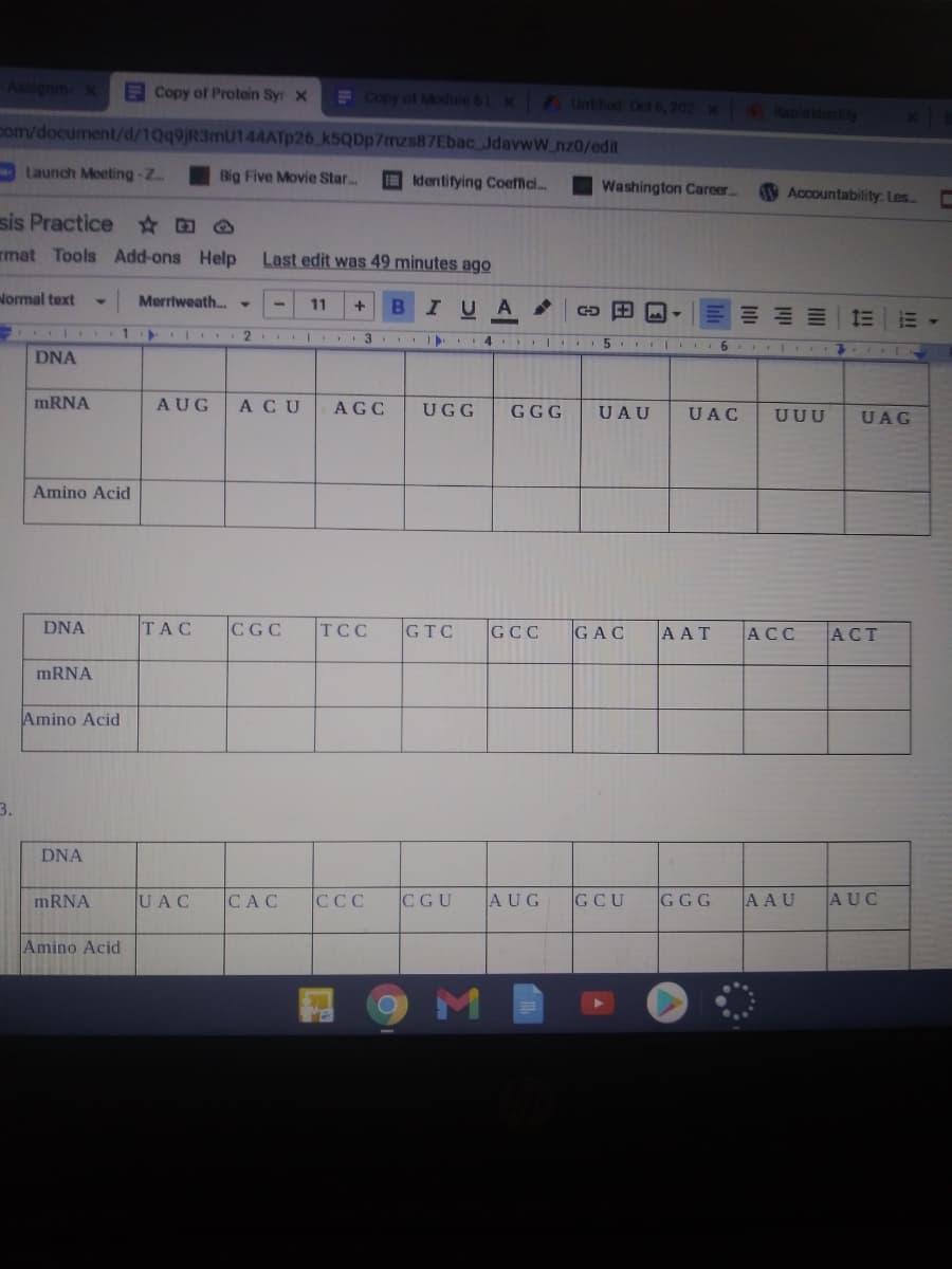 Asigrim x
ECopy of Protein Syr X
FCopy of Moduie 6t X Untted Oct 6, 202 x apididentity
com/document/d/1Qq9jR3mU144ATp26 k5QDp7mzs87Ebac JdavwW.nz0/edit
Launch Meeting-Z.
Big Five Movie Star..
I dentifying Coeffici.
Washington Career..
V Accountability: Les..
sis Practice O
rmat Tools Add-ons Help
Last edit was 49 minutes ago
Normal text
Merriweath..
11
B
IU A
2 I 3
5 II6
DNA
MRNA
AUG
ACU
AGC
UGG
GGG
UAU
UAC
UUU
UAG
Amino Acid
DNA
TAC
CGC
TCC
GTC
GCC
GAC
AAT
ACC
ACT
MRNA
Amino Acid
3.
DNA
mRNA
UAC
CAC
CCC
CGU
AUG
GCU
GGG
AAU
AUC
Amino Acid
M
