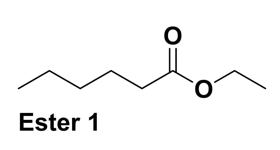 Ester 1
O