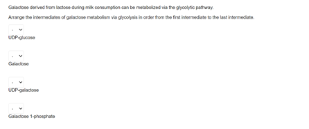 Galactose derived from lactose during milk consumption can be metabolized via the glycolytc pathway.
Arrange the intermediates of galactose metabolism via glycolysis in order trom the first intermediate to the last intermediato.
UDP-glucose
Galactose
UDPgalactose
Galactose 1-phonphate
