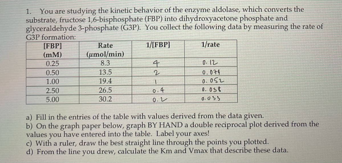 1. You are studying the kinetic behavior of the enzyme aldolase, which converts the
substrate, fructose 1,6-bisphosphate (FBP) into dihydroxyacetone phosphate and
glyceraldehyde 3-phosphate (G3P). You collect the following data by measuring the rate of
G3P formation:
1/[FBP]
1/rate
[FBP]
(mm)
0.25
0.50
1.00
2.50
5.00
Rate
(umol/min)
8.3
13.5
19.4
26.5
30.2
4
2
1
0.4
0.
0.12
0.074
0.052
0.038
0.033
a) Fill in the entries of the table with values derived from the data given.
b) On the graph paper below, graph BY HAND a double reciprocal plot derived from the
values you have entered into the table. Label your axes!
c) With a ruler, draw the best straight line through the points you plotted.
d) From the line you drew, calculate the Km and Vmax that describe these data.