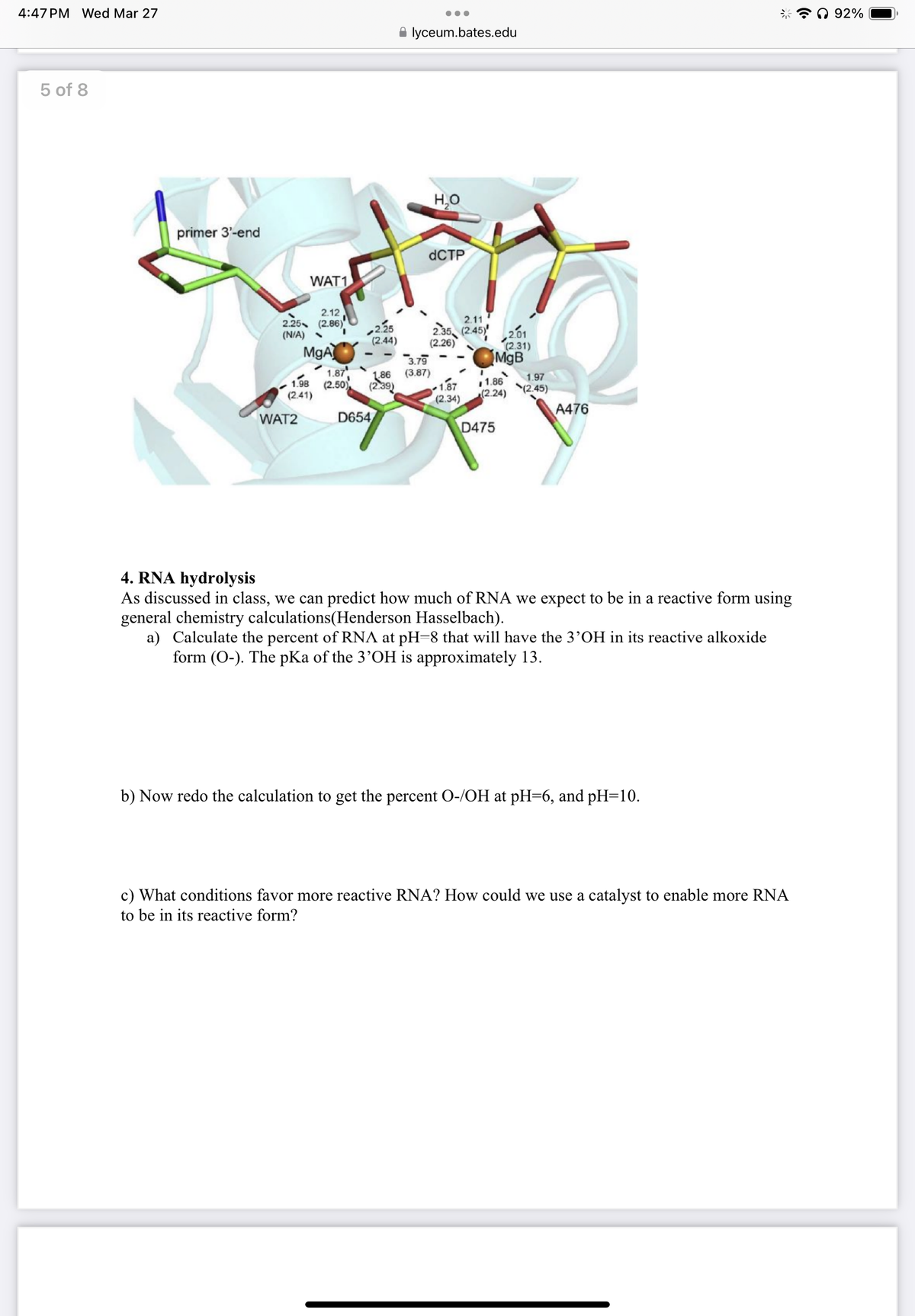 4:47 PM Wed Mar 27
...
lyceum.bates.edu
5 of 8
primer 3'-end
WAT1
2.12
H₂O
dCTP
2.25 (2.86)
2.11
(N/A) -
2.25
(2.44)
MgA
2.35 (2.45)
(2.26)
2.01
(2.31)
3.79
MgB
1.87'
1.86 (3.87)
1.98 (2.50)
(2.41)
(2.39)
1.86
1.97
1.87
(2.24)
(2.45)
(2.34)
WAT2
D654
A476
D475
4. RNA hydrolysis
As discussed in class, we can predict how much of RNA we expect to be in a reactive form using
general chemistry calculations(Henderson Hasselbach).
a) Calculate the percent of RNA at pH=8 that will have the 3'OH in its reactive alkoxide
form (O-). The pKa of the 3'OH is approximately 13.
b) Now redo the calculation to get the percent O-/OH at pH=6, and pH=10.
c) What conditions favor more reactive RNA? How could we use a catalyst to enable more RNA
to be in its reactive form?
ດ 92%