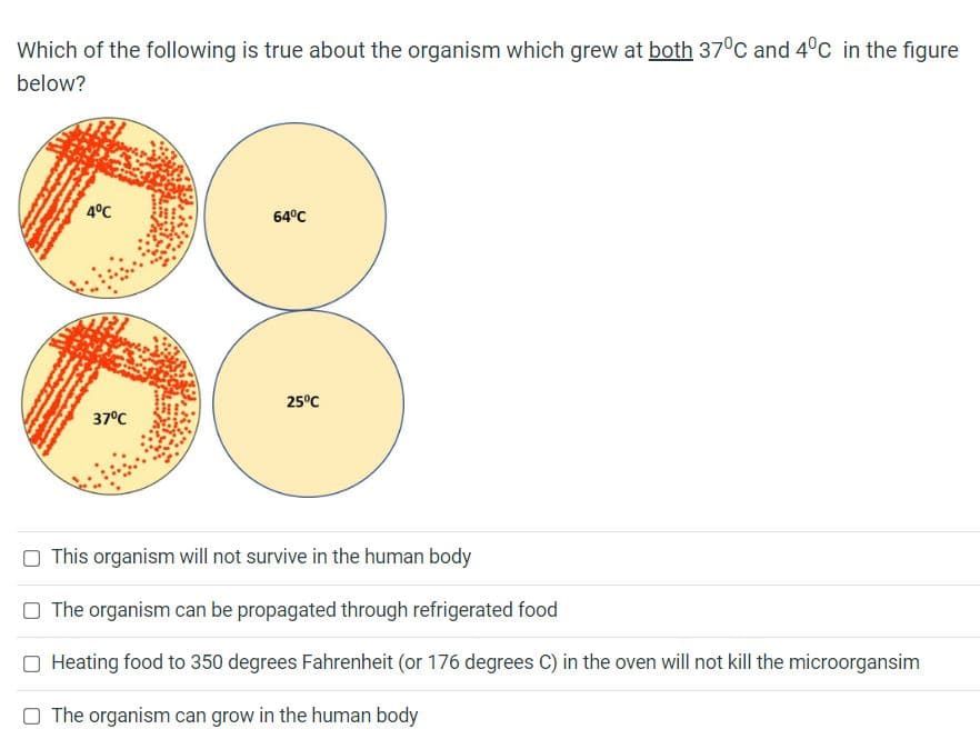 Which of the following is true about the organism which grew at both 37°C and 4°C in the figure
below?
4°C
37°C
64°C
25°C
This organism will not survive in the human body
O The organism can be propagated through refrigerated food
O Heating food to 350 degrees Fahrenheit (or 176 degrees C) in the oven will not kill the microorgansim
The organism can grow in the human body
