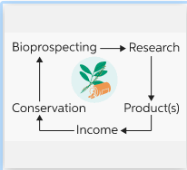 Bioprospecting – Research
Conservation
Product(s)
-Income
