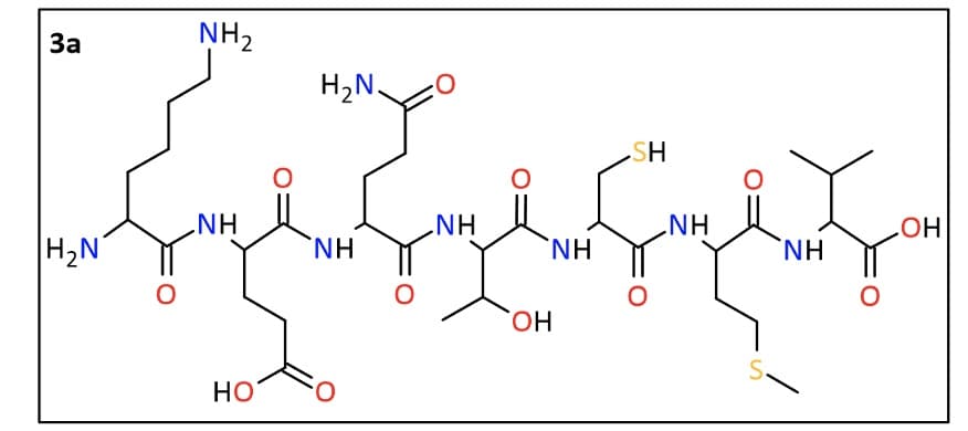 За
H₂N
NH₂
NH
НО
H2N,
NH
HN
0
но.
NH
SH
NH
0
S.
HN.
OH