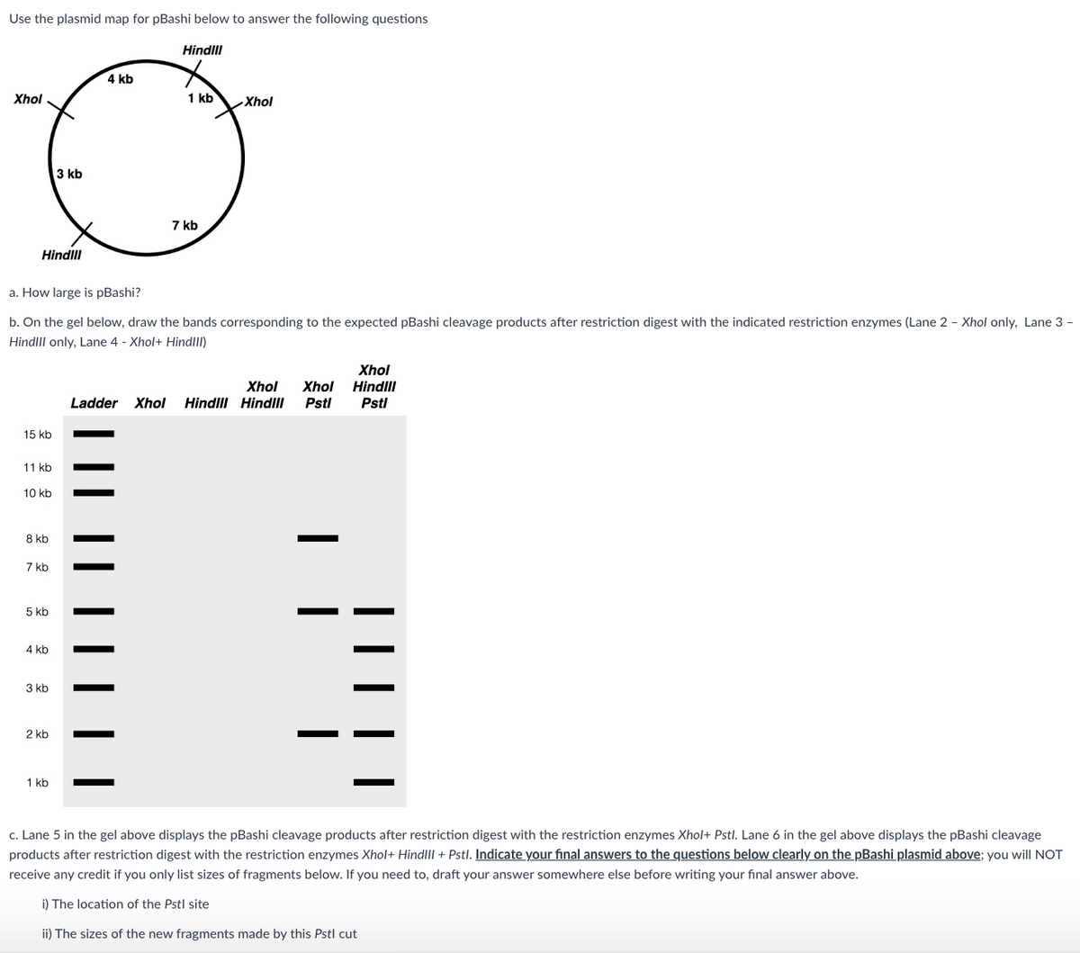 Use the plasmid map for pBashi below to answer the following questions
Xhol
Hind!!!
15 kb
11 kb
10 kb
8 kb
7 kb
5 kb
a. How large is pBashi?
b. On the gel below, draw the bands corresponding to the expected pBashi cleavage products after restriction digest with the indicated restriction enzymes (Lane 2 - Xhol only, Lane 3 -
HindIII only, Lane 4 - Xhol+ HindIII)
4 kb
3 kb
3 kb
2 kb
1 kb
4 kb
Hindill
1 kb
7 kb
Xhol
Xhol
Xhol Xhol
Hind!!!
Ladder Xhol Hindill Hind!!! Pstl Pstl
c. Lane 5 in the gel above displays the pBashi cleavage products after restriction digest with the restriction enzymes Xhol+ Pstl. Lane 6 in the gel above displays the pBashi cleavage
products after restriction digest with the restriction enzymes Xhol+ HindIII + Pstl. Indicate your final answers to the questions below clearly on the pBashi plasmid above; you will NOT
receive any credit if you only list sizes of fragments below. If you need to, draft your answer somewhere else before writing your final answer above.
i) The location of the Pstl site
ii) The sizes of the new fragments made by this Pstl cut
