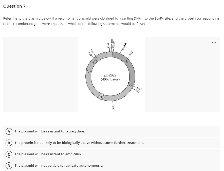 Question 7
Referring to the plasmid below, if a recombinant plasmid were obtained by inserting DNA into the EcoRv site, and the protein corresponding
to the recombinant gene were expressed, which of the following statements would be false?
Aval
Sall
A The plasmid will be resistant to tetracycline.
B) The protein is not likely to be biologically active without some further treatment.
C) The plasmid will be resistant to ampicillin.
(D) The plasmid will not be able to replicate autonomously.
Pul-
Poul-
ampr
III
EcoRI
EcoRV
BamHI
pBR322
(4363 bases)
-Poudl
lett