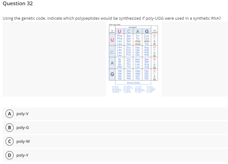 Question 32
Using the genetic code, indicate which polypeptides would be synthesized if poly-UGG were used in a synthetic RNA?
NA
2nd potion
U
postion
CAG
Phe
Ser
Tyr
Cys
Phe
Ser
Tyr
Cys
U
Leu
Ser stop stop
Leu
Ser stop
Trp
Leu
Pro His
Arg
Leu
Pro
His
Arg
Leu
Pro
Gin
Arg
Leu
Pro
Gin
Arg
lle
Thr
Asn
Ser
lle Thr
Asn
lle Thr
Lys Arg
Met Thr
Lys
Arg
Val Ala
Asp
Gly
Ala Asp
Gly
Val
Ala
Glu
Gly
Val
Ala
Glu
Gly
Amino Acids
A) poly-V
B) poly-G
poly-W
D) poly-Y
O
A
G
၈၈၈၈»nt
The