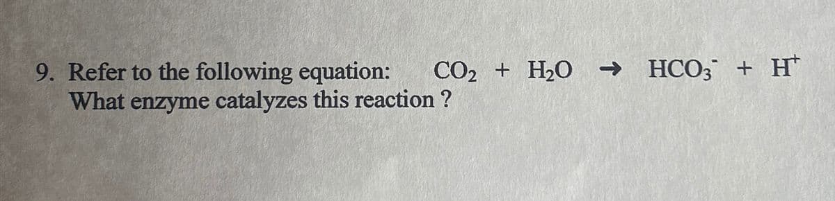 9. Refer to the following equation:
CO2 + H2O → HCO3 + H
What enzyme catalyzes this reaction?