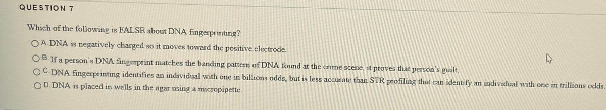 QUESTION 7
Which of the following is FALSE about DNA fingerprinting?
O A. DNA is negatively charged so it moves toward the positive electrode.
O B. If a person's DNA fingerprint matches the banding pattern of DNA found at the crime scene, it proves that person's guilt.
O C. DNA fngerprinting identifies an individual with one in billions odds, but is less accurate than STR profiling that can identify an individual with one in trillions odds.
O D. DNA is placed in wells in the agar using a micropipette.
