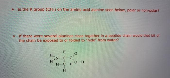 > Is the R group (CH3) on the amino acid alanine seen below, polar or non-polar?
> If there were several alanines close together in a peptide chain would that bit of
the chain be exposed to or folded to "hide" from water?
H
H
N-C
H-C-H
0-H
