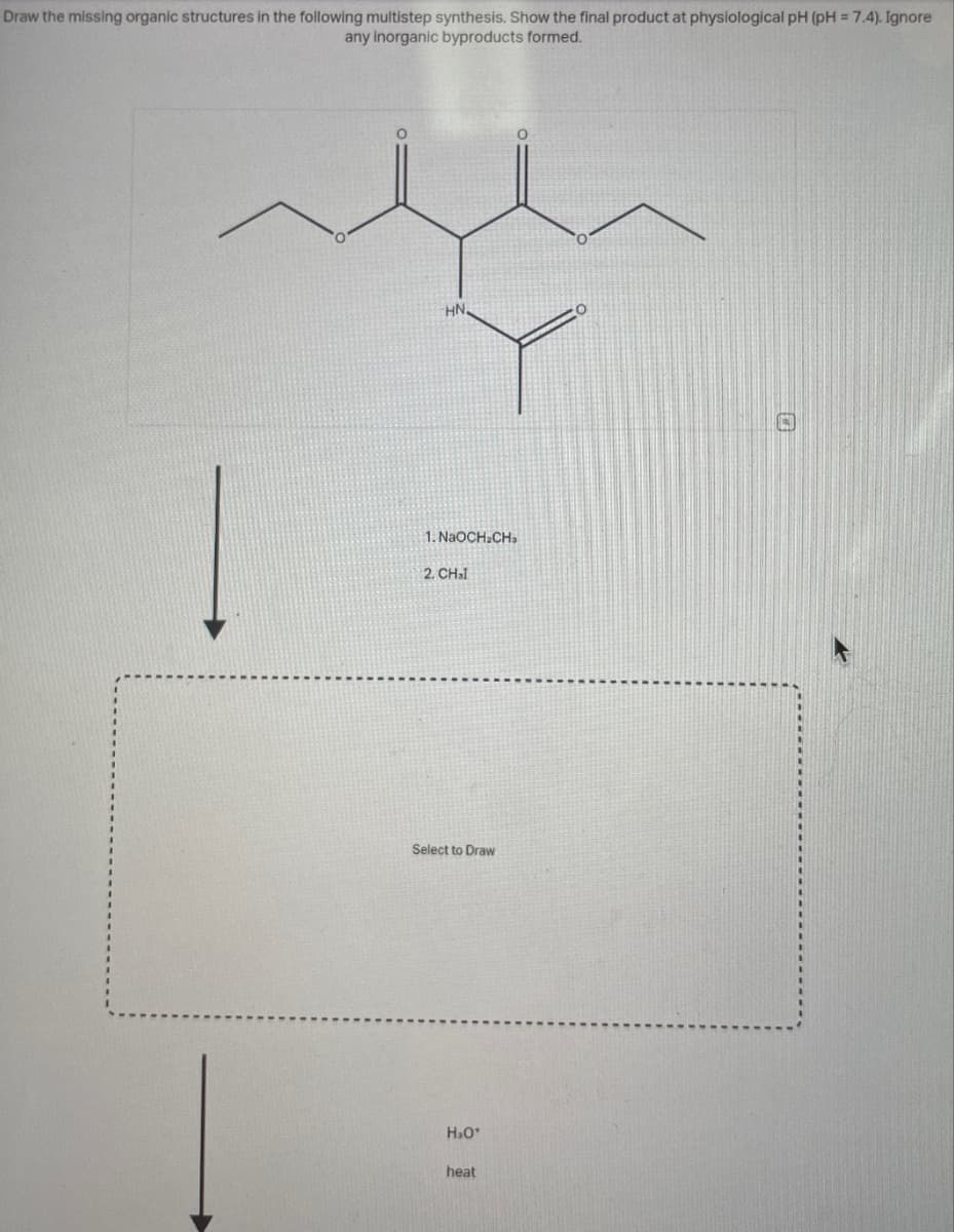 Draw the missing organic structures in the following multistep synthesis. Show the final product at physiological pH (pH = 7.4). Ignore
any inorganic byproducts formed.
HN
1. NaOCH2CH.
2. CHI
Select to Draw
H₂O
heat