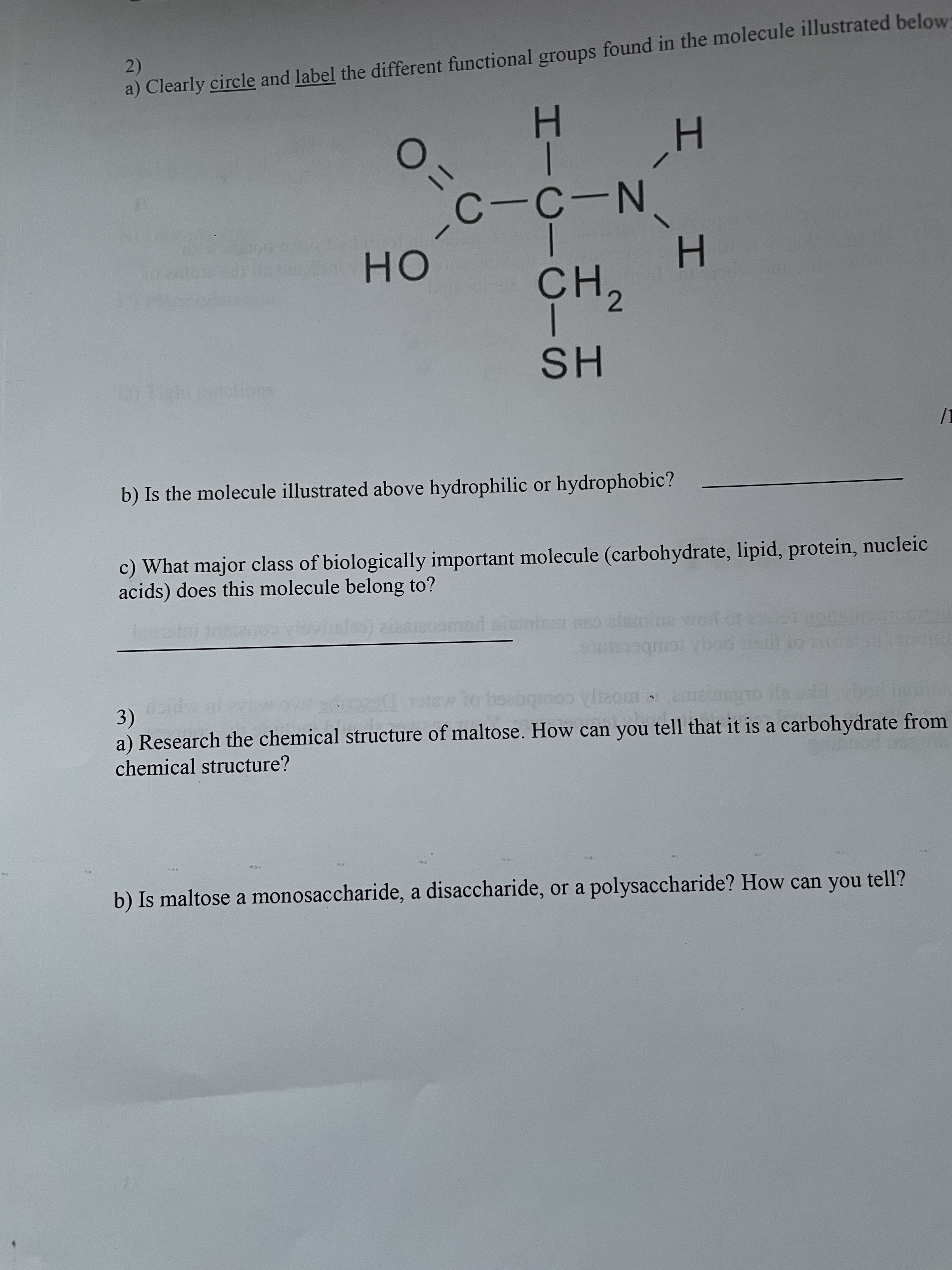 エー
2)
a) Clearly circle and label the different functional groups found in the molecule illustrated below:
3D
OH
N---
H.
CH,
b) Is the molecule illustrated above hydrophilic or hydrophobic?
HH
c) What major class of biologically important molecule (carbohydrate, lipid, protein, nucleic
acids) does this molecule belong to?
3)
a) Research the chemical structure of maltose. How can you tell that it is a carbohydrate from
chemical structure?
2 2.com
012 01
b) Is maltose a monosaccharide, a disaccharide, or a polysaccharide? How can you tell?
