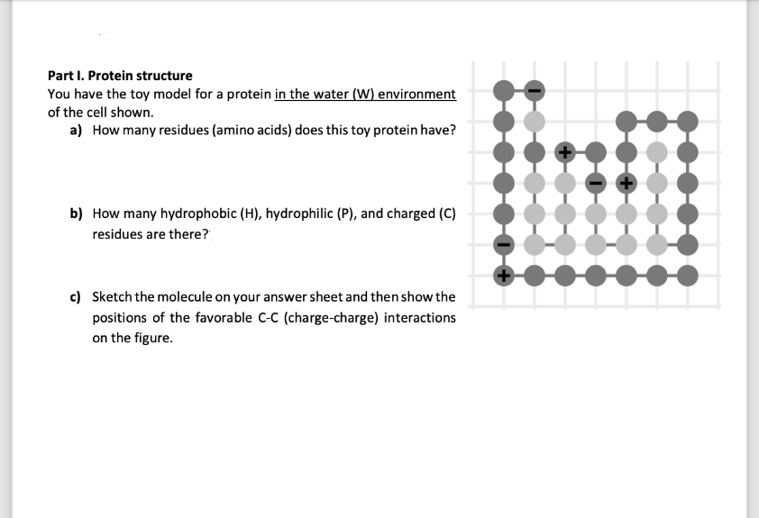 Part I. Protein structure
You have the toy model for a protein in the water (W) environment
of the cell shown.
a) How many residues (amino acids) does this toy protein have?
b) How many hydrophobic (H), hydrophilic (P), and charged (C)
residues are there?
c) Sketch the molecule on your answer sheet and then show the
positions of the favorable C-C (charge-charge) interactions
on the figure.
