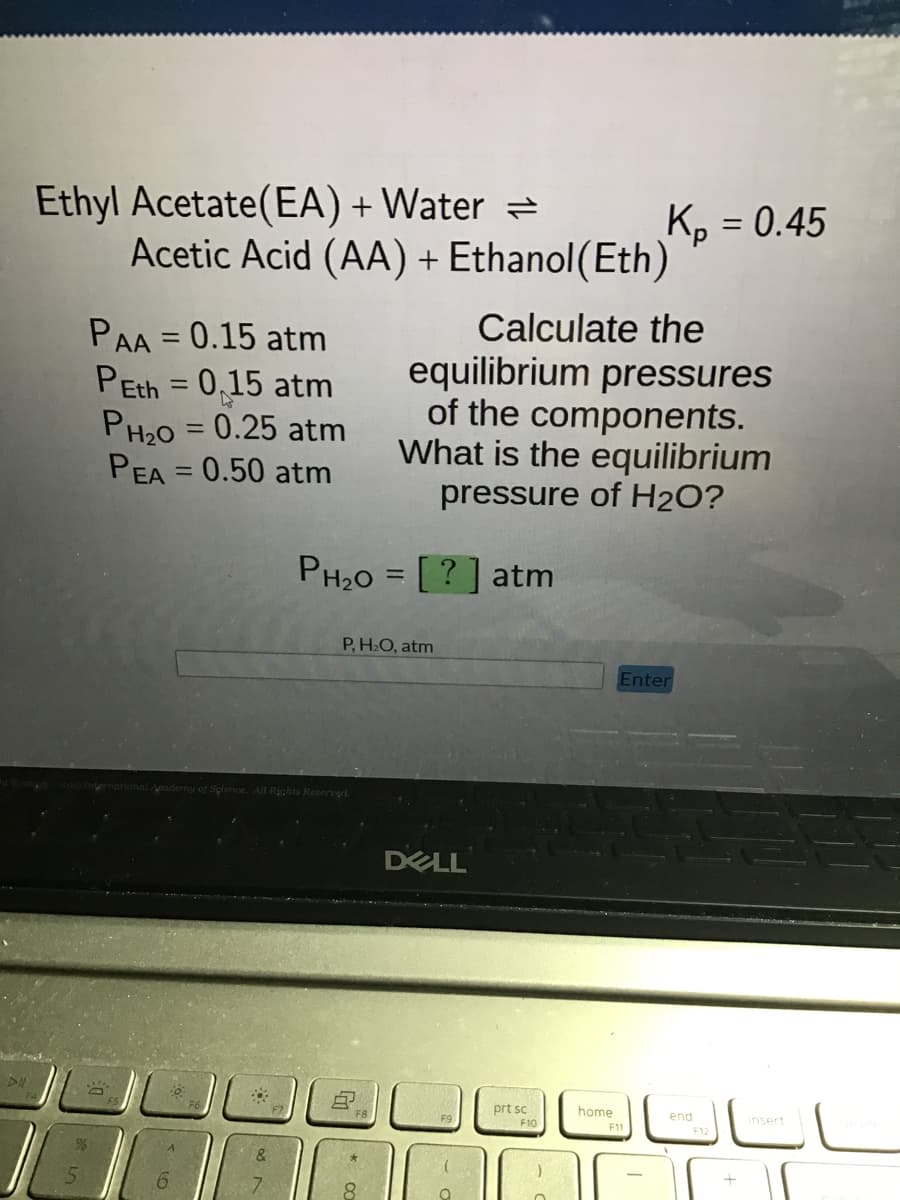 Ethyl Acetate(EA) + Water =
Acetic Acid (AA) + Ethanol(Eth)
PAA = 0.15 atm
PEth = 0,15 atm
PH₂0 = 0.25 atm
PEA = 0.50 atm
9
PH₂0
&
of Science. All Rights Reserved.
8
P, H₂O, atm
8
Calculate the
equilibrium pressures
of the components.
What is the equilibrium
pressure of H₂O?
=
[?] atm
DELL
a
prt sc
F10
home
K₂ = 0.45
Enter
F11
end
insert