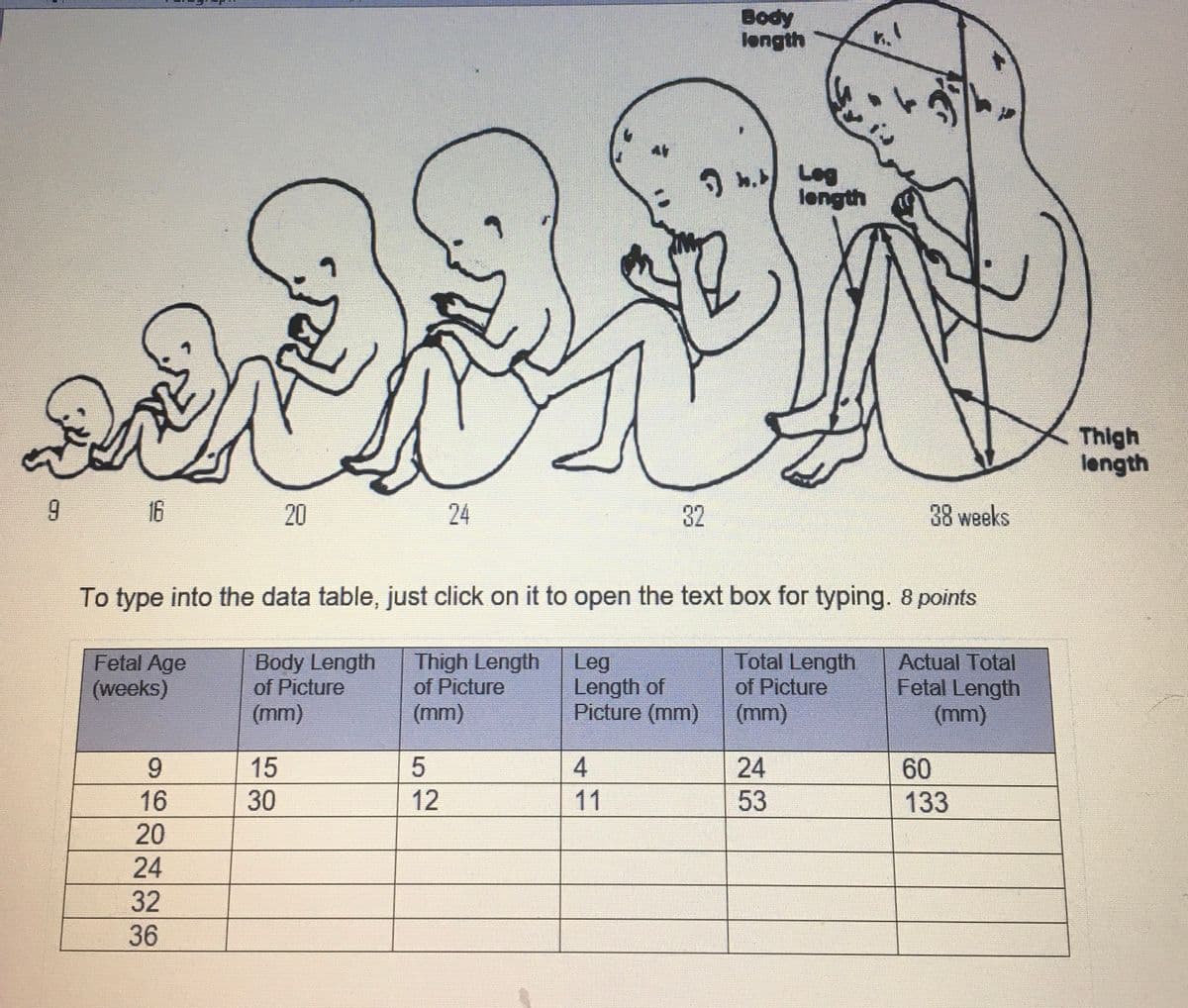 9
16
20
24
A
32
Body
length
点
ง
Log
length
Thigh
length
38 weeks
To type into the data table, just click on it to open the text box for typing. 8 points
Fetal Age
(weeks)
Body Length
of Picture
Thigh Length
of Picture
Leg
Total Length
Length of
of Picture
Actual Total
Fetal Length
(mm)
(mm)
Picture (mm)
(mm)
(mm)
9
15
5
4
24
60
16
30
12
11
53
133
20
24
32
36