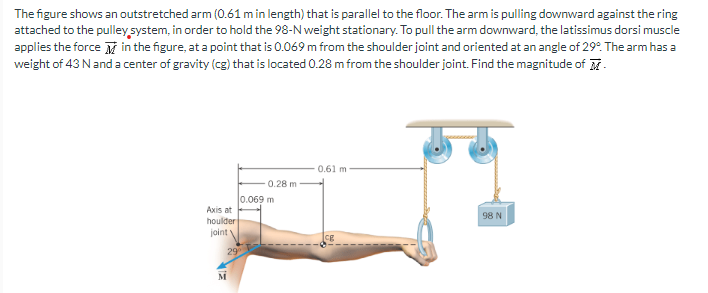 The figure shows an outstretched arm (0.61 m in length) that is parallel to the floor. The arm is pulling downward against the ring
attached to the pulley system, in order to hold the 98-N weight stationary. To pull the arm downward, the latissimus dorsi muscle
applies the force in the figure, at a point that is 0.069 m from the shoulder joint and oriented at an angle of 29º. The arm has a
weight of 43 N and a center of gravity (cg) that is located 0.28 m from the shoulder joint. Find the magnitude of M
Axis at
houlder
joint
29°
M
0.28 m
0.069 m
0.61 m
98 N