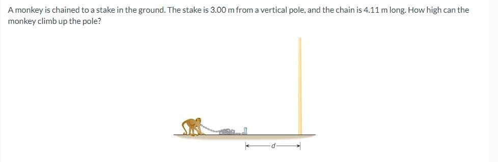 A monkey is chained to a stake in the ground. The stake is 3.00 m from a vertical pole, and the chain is 4.11 m long. How high can the
monkey climb up the pole?
d