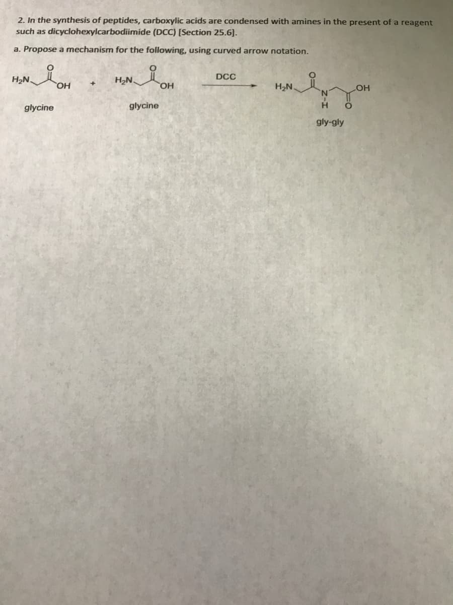 2. In the synthesis of peptides, carboxylic acids are condensed with amines in the present of a reagent
such as dicyclohexylcarbodiimide (DCC) [Section 25.6].
a. Propose a mechanism for the following, using curved arrow notation.
H₂N.
glycine
OH
H₂N
요.
glycine
OH
DCC
H₂N.
N
H
gly-gly
LOH